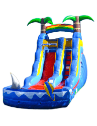 Catalog2010 1754952930 15ft Shark Waterslide