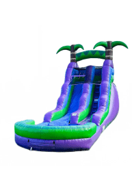 Catalog204 1754945446 16ft Purple Tropical Waterslide