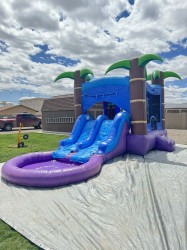 IMG 1654 1754941838 Enchanted Forest Tropical Bounce House (Wet/Dry)