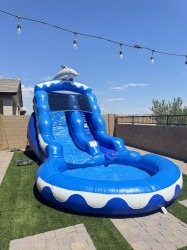 IMG 3539 1754942452 13ft Dolphin Waterslide
