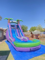 IMG 7145 1754945446 16ft Purple Tropical Waterslide