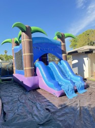 IMG 9242 1754941839 Enchanted Forest Tropical Bounce House (Wet/Dry)
